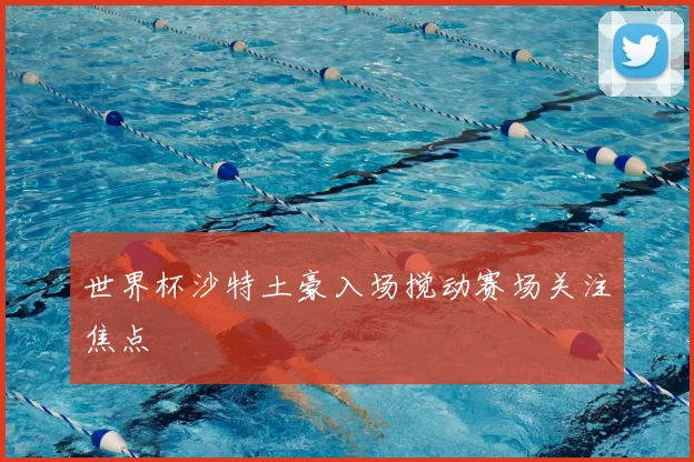 世界杯沙特土豪入场搅动赛场关注焦点