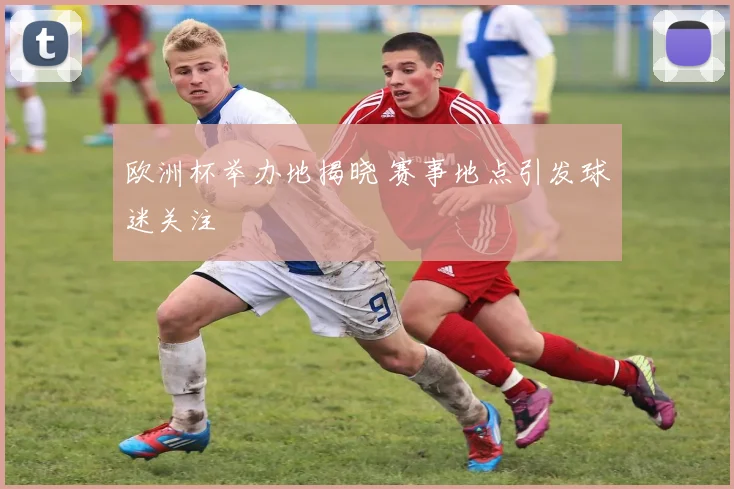欧洲杯举办地揭晓 赛事地点引发球迷关注