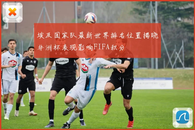 埃及国家队最新世界排名位置揭晓非洲杯表现影响FIFA积分