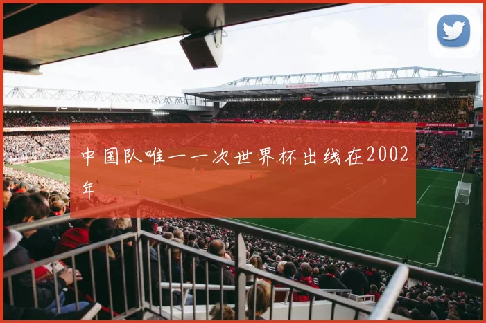 中国队唯一一次世界杯出线在2002年