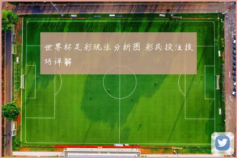 世界杯足彩玩法分析图 彩民投注技巧详解