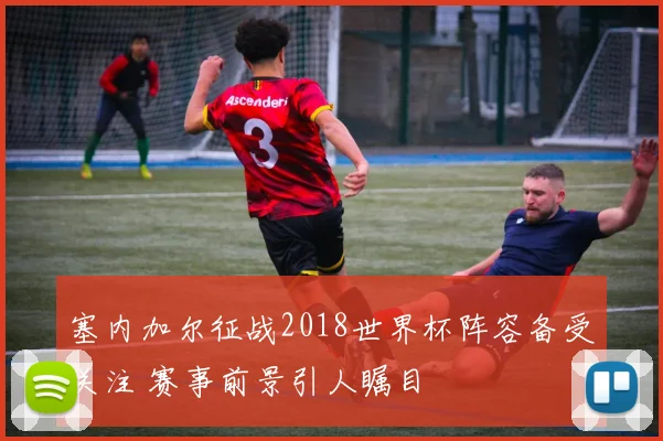 塞内加尔征战2018世界杯阵容备受关注 赛事前景引人瞩目