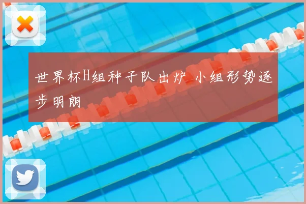 世界杯H组种子队出炉 小组形势逐步明朗