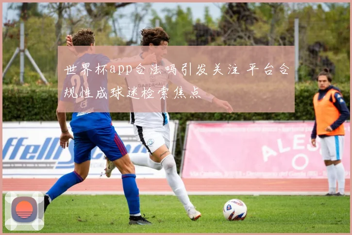 世界杯app合法吗引发关注 平台合规性成球迷检索焦点