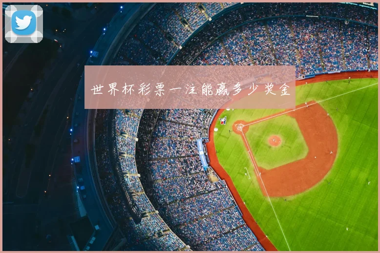 世界杯彩票一注能赢多少奖金
