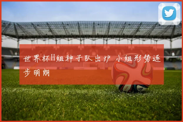 世界杯H组种子队出炉 小组形势逐步明朗