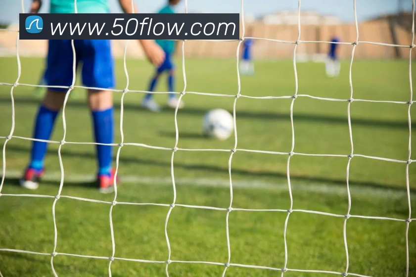 买球官方品牌故事